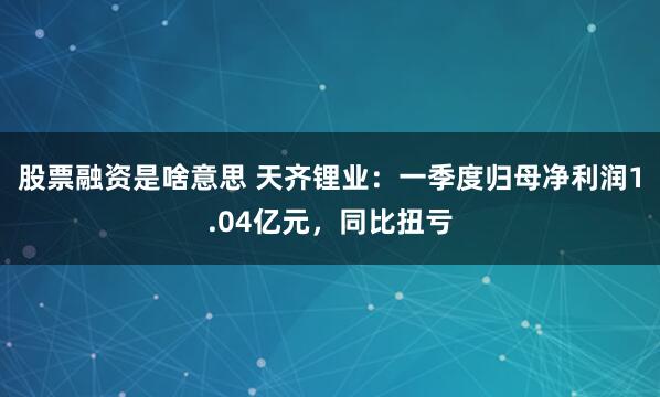 股票融资是啥意思 天齐锂业：一季度归母净利润1.04亿元，同比扭亏