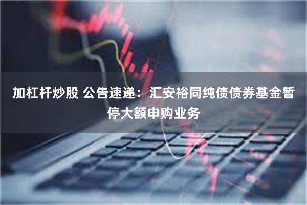 加杠杆炒股 公告速递：汇安裕同纯债债券基金暂停大额申购业务