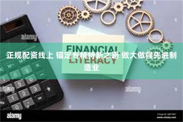 正规配资线上 锚定专精特新之路 做大做强先进制造业