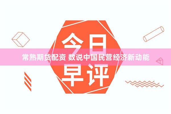 常熟期货配资 数说中国民营经济新动能