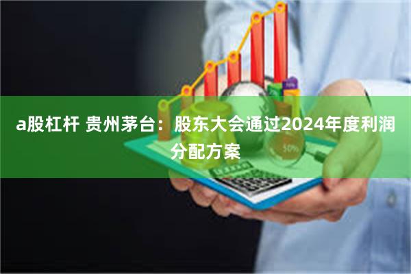 a股杠杆 贵州茅台：股东大会通过2024年度利润分配方案