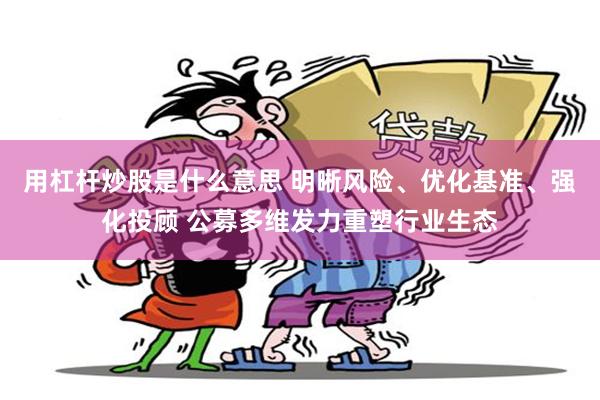 用杠杆炒股是什么意思 明晰风险、优化基准、强化投顾 公募多维发力重塑行业生态
